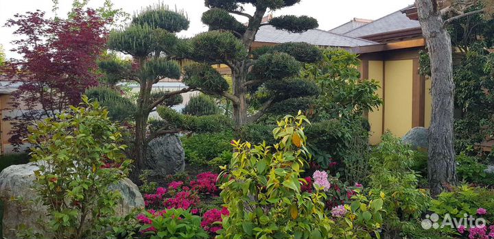 Qr код в Японский сад