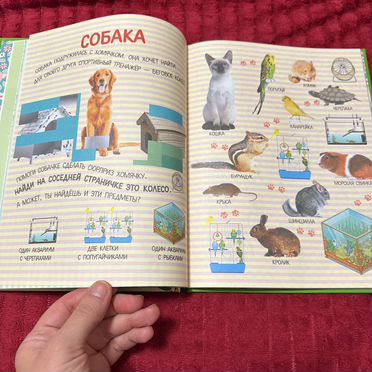 Развивающие книги