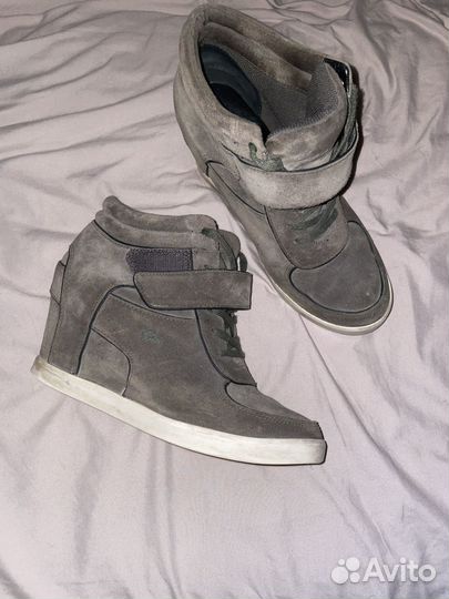 Сникерсы lacoste