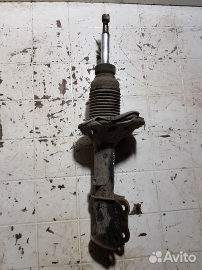 Амортизатор передний Hyundai Accent 2006 1.5 МКПП