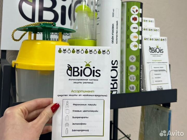 Феромонная ловушка