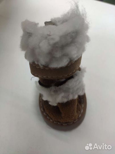 Обувь для маленьких собак