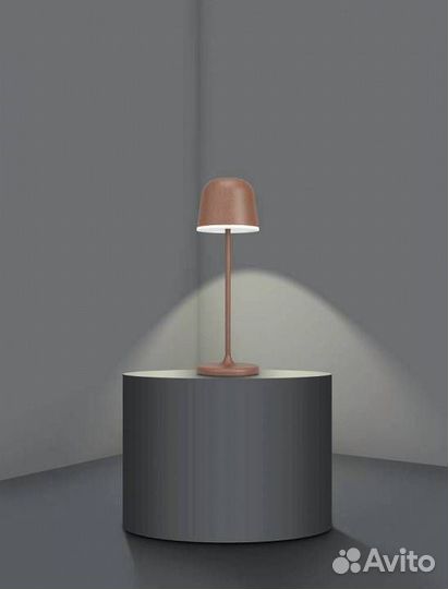 Настольная лампа декоративная Eglo промо Mannera 900459