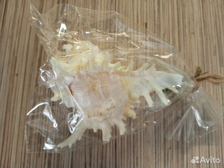 Свеча в натуральной раковине