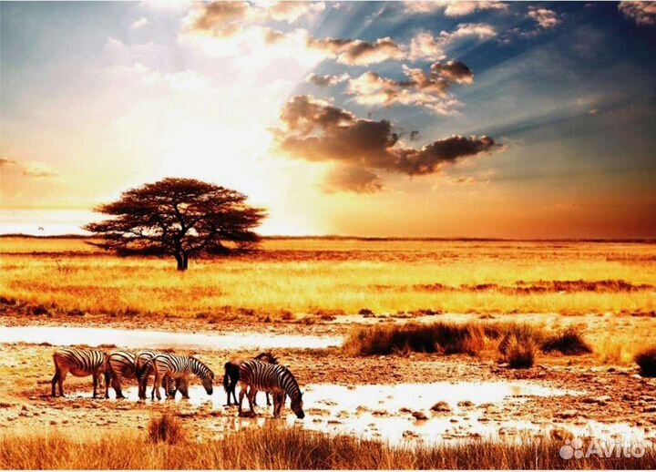 Самоклеющиеся фотообои 140х100 см