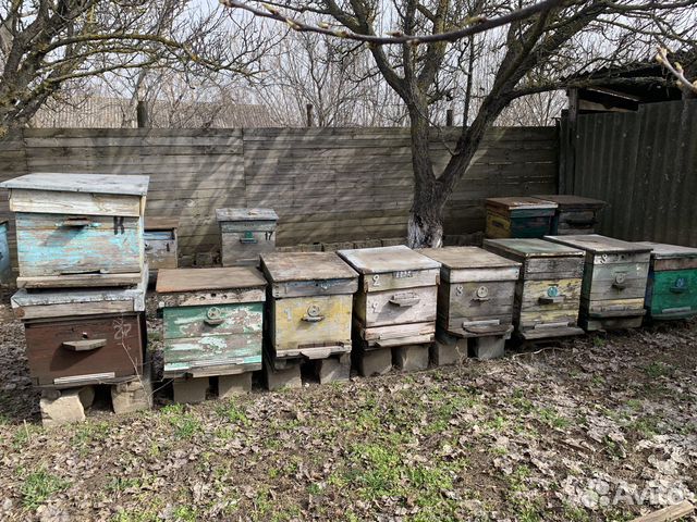 Улей для пчел