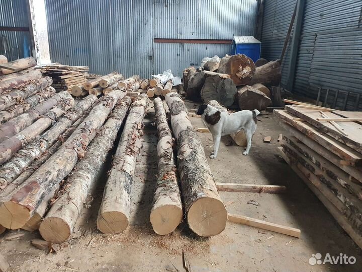Дрова береза дуб брёвна сухие