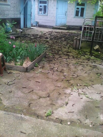 Дом 98,4 м² на участке 10 сот.