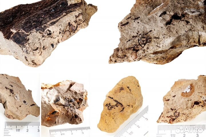 Макросъемка. Фотосъемка ювелирных изделий