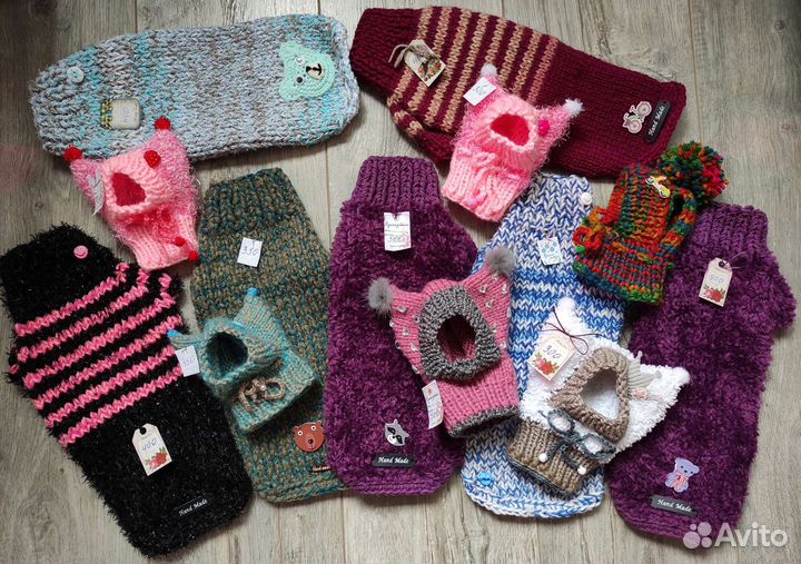 Одежда для животных