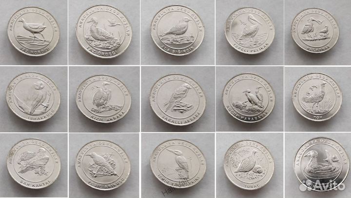 Монеты Турции: новинка 2022