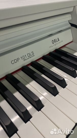 Orla CDP 101 Цифровое пианино