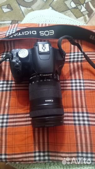 Canon eos 500d / DS126231