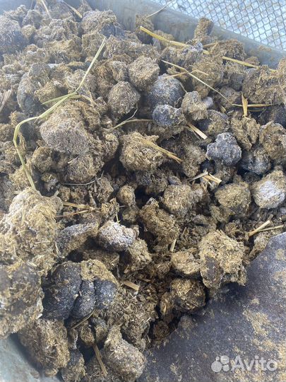 Навоз конский в мешках