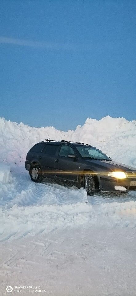 Skoda Octavia: фото владельца