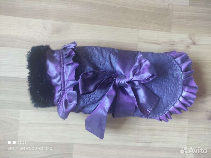 Одежда для маленькой собачки