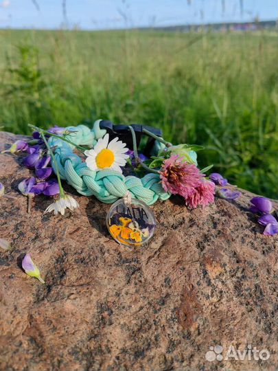 Адресник для собак