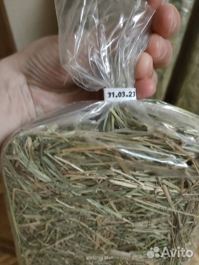 Продам сено