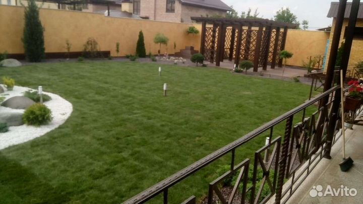 Рулонный газон, Автополив, Озеленение