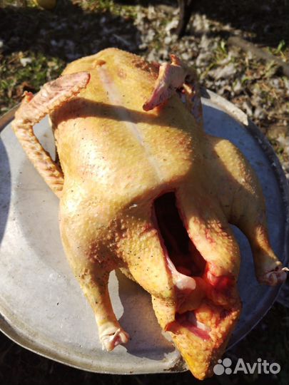 Мясо Индоутки