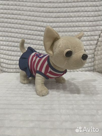 Собачка в сумке переноске