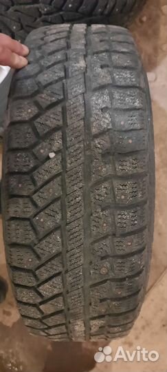 Tigar Ice 195/65 R15 98E