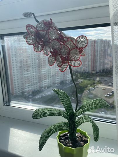 Орхидея из бисера