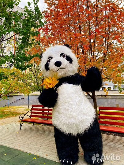 Поздравление Мишка/Чебурашка/ Панда /Аниматоры