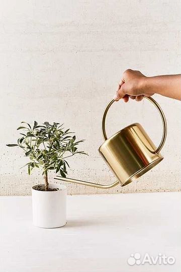 Лейка для цветов