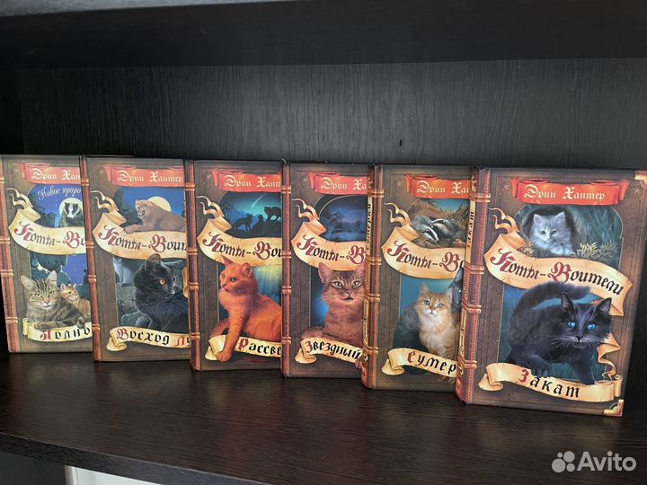 2 цикл коты воители