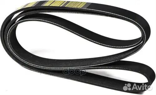 Ремень поликлиновой 8PK1815 Cummins Truck Z23028