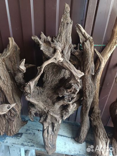 Коряги с реки Очëр не обработанные