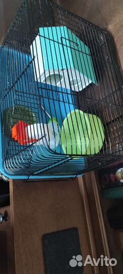 Клетка для грызунов