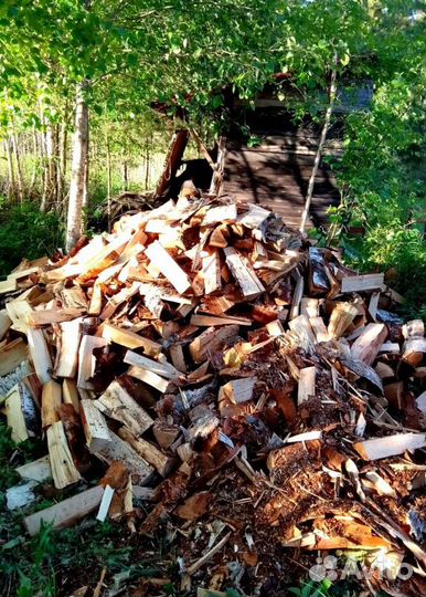 Дрова Осина навалом