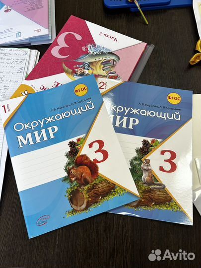 Рабочие тетради 3 класс окружающий мир