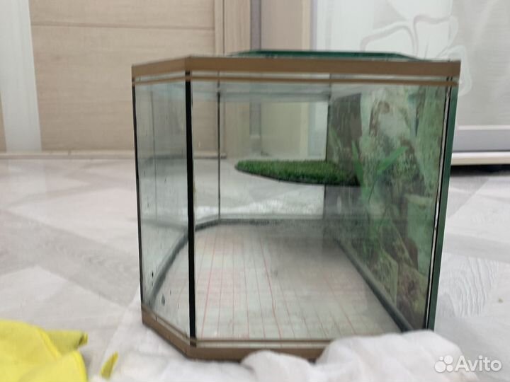 Аквариум для черепах