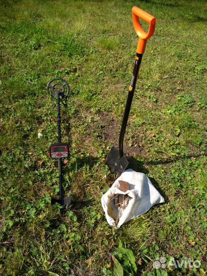 Металлоискатель Minelab X-Terra 305