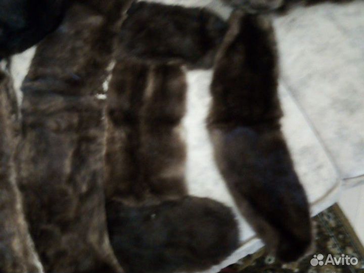 Шкурка животного