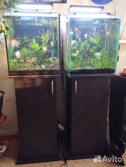 Аквариум с тумбой и светом