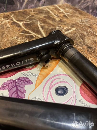 Eclat Cortex Freecoaster lhd