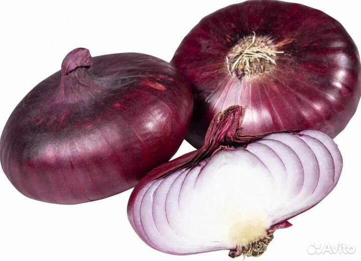 Профессиональные семена