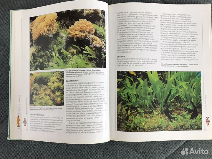 Книга энциклопедия Аквариумные рыбки