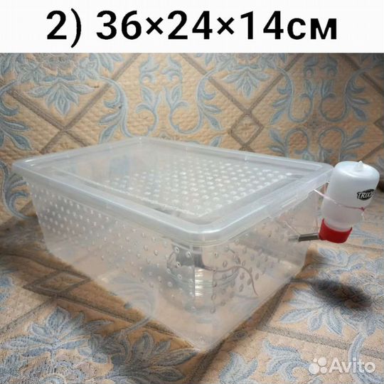 Террариум для грызунов