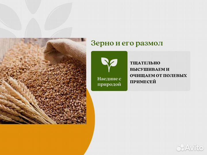 Пшеница Зерно (кг)