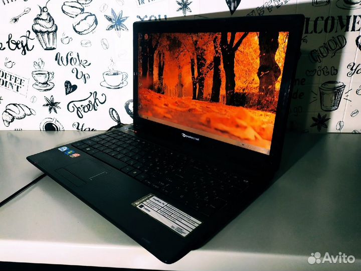 Packard Bell Pew91 - Core i3 \ 4 Озу \ 512 Видео \