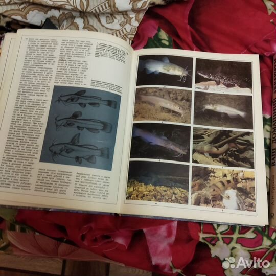 Книги про аквариум