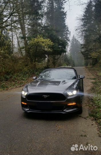 Аренда кабриолета mustang