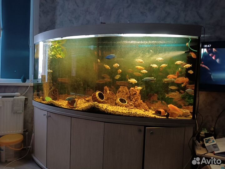 Аквариум