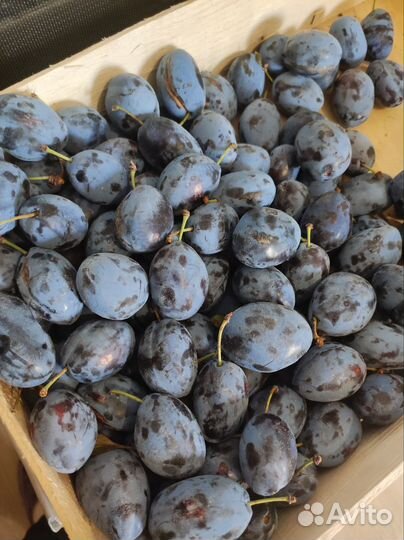 Вяленые сливы и помидоры