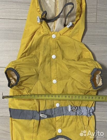 Амуниция для собак